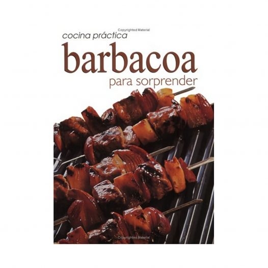 Cocina Practica Barbacoa Para Soprender
