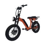 Bicicleta Eléctrica eBike Súper R2 de Doble Tracción 1500W