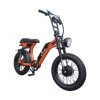 Bicicleta Eléctrica eBike Súper R2 de Doble Tracción 750W